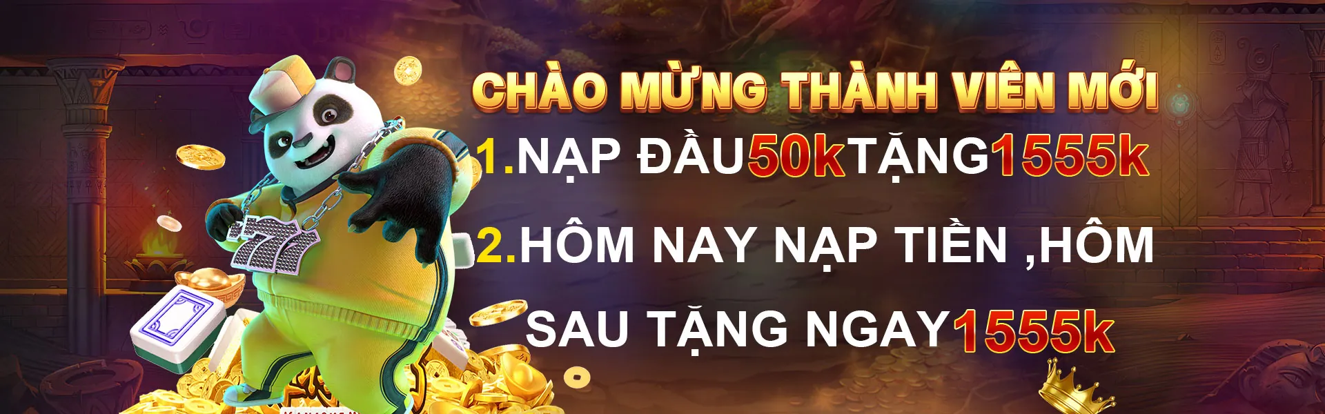 Theo dõi tiến độ VIP