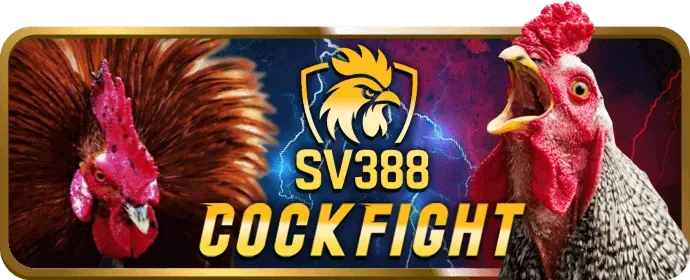 Hoàn trả cá cược thể thao và casino