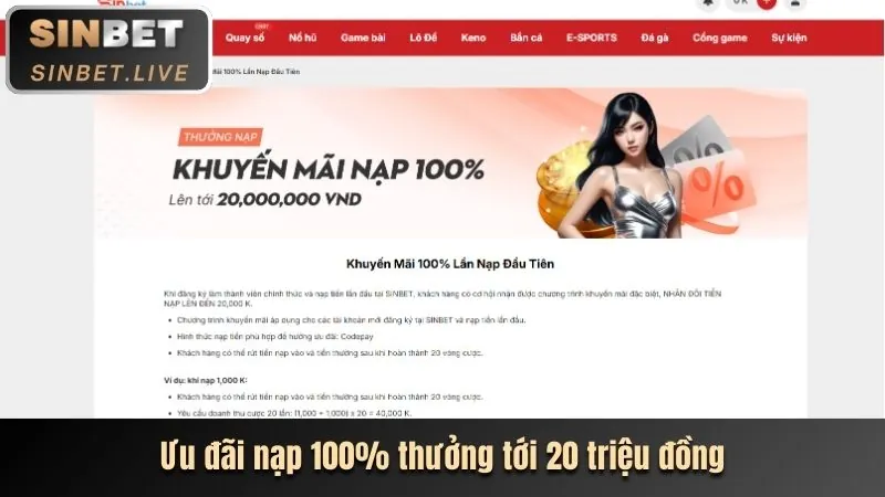Câu hỏi thường gặp về 555vnd